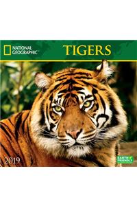 Cal 2019 National Geographic Tigers