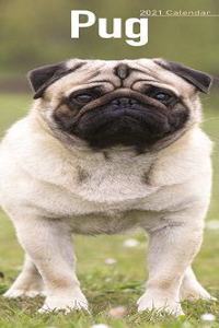 Pug 2021 Slim Calendar