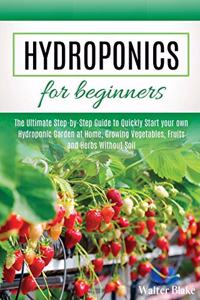 Hydroponics for Beginners