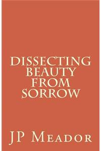 Dissecting Beauty From Sorrow