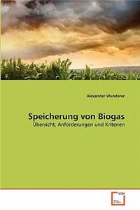 Speicherung von Biogas