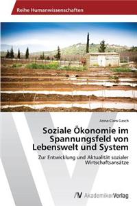 Soziale Ökonomie im Spannungsfeld von Lebenswelt und System