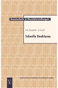 Schnelle Reaktoren