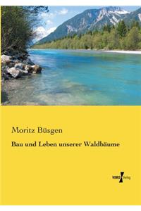 Bau und Leben unserer Waldbäume