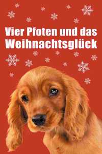 Vier Pfoten und das Weihnachtsglück