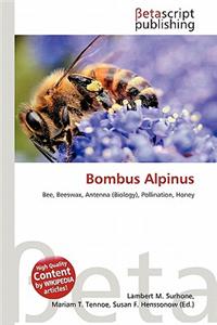 Bombus Alpinus