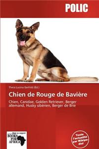 Chien de Rouge de Bavi Re