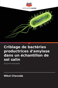 Criblage de bactéries productrices d'amylase dans un échantillon de sol salin