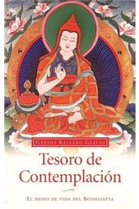 Tesoro de contemplacion (Meaningful to Behold): El modo de vida del Bodhisatva