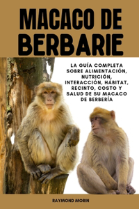 Macaco de Berbarie