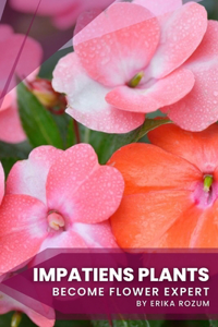Impatiens Plants