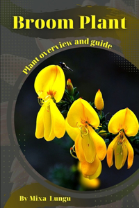 Broom Plant