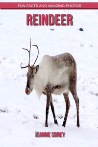 Reindeer