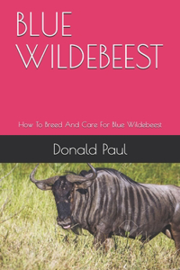 Blue Wildebeest