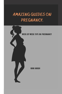 Amazing Guides on Pregnancy