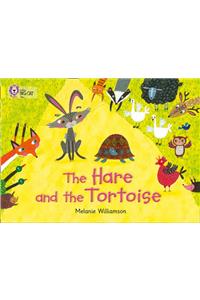 The Hare and the Tortoise