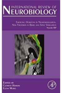 Emerging Horizons in Neuromodulation
