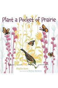Plant a Pocket of Prairie