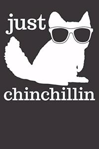 Chinchilla Notebook