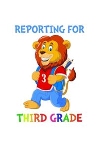 Reporting For 3rd Grade