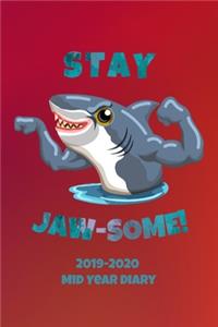 Stay Jaw-some! 2019-2020 Mid Year Diary
