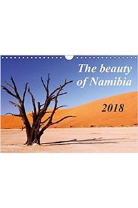 The Beauty of Namibia 2018 2018