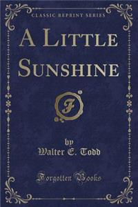 A Little Sunshine (Classic Reprint)