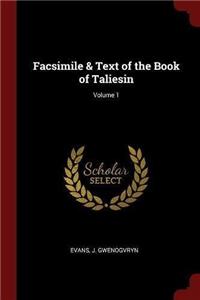Facsimile & Text of the Book of Taliesin; Volume 1