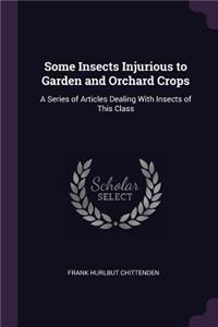 Some Insects Injurious to Garden and Orchard Crops