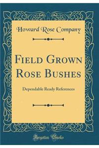Field Grown Rose Bushes