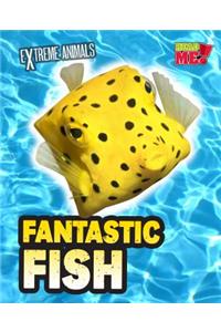 Fantastic Fish