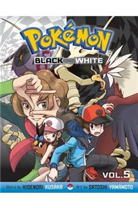 Pokemon Black and White, Vol. 8