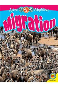 Migration