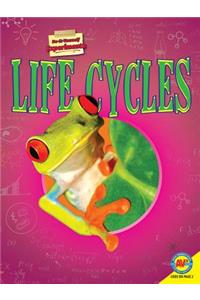 Life Cycles