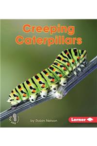 Creeping Caterpillars