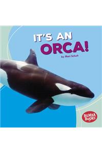 It's an Orca!
