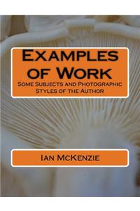 Examples of Work