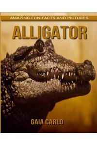 Alligator