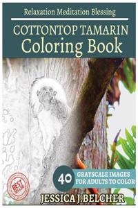 Cottontop Tamarin Coloring Book for Adults Relaxation Meditation Blessing