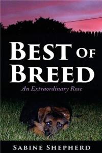 Best of Breed