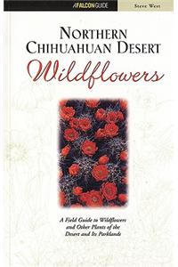 Northern Chihuahuan Desert Wildflowers