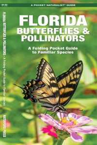 Florida Butterflies & Pollinators