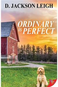 Ordinary Is Perfect