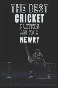 The Best Cricket Players are from Newry journal