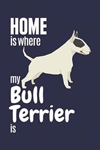 Home is where my Bull Terrier is