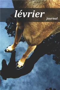 lévrier journal