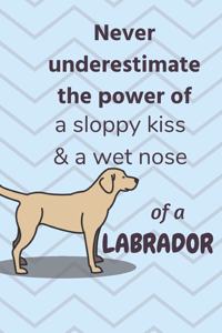 Never underestimate the power of a sloppy kiss & a wet nose of a Labrador