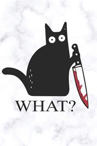 Cat What Funny Black Cat With Knife A beautiful