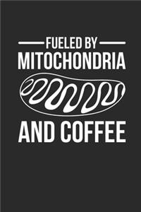 Fueled By Mitochondria