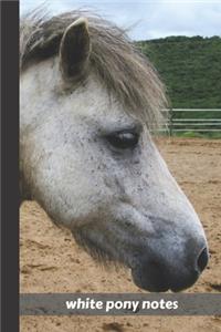white pony notes